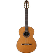 Cordoba C9 CD/MH Acoustic Nylon String Classical Guitar