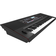 Roland E-X50 61-Key Arranger Keyboard with Bluetooth Audio and Built-in Speakers