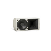 Bose Professional ArenaMatch Utility AMU108 Compact Outdoor Loudspeaker with 8" Woofer (Each)