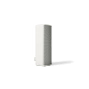 Bose Professional ArenaMatch Utility AMU208 Compact Loudspeaker (Each)