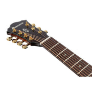 Ibanez AE Series 7-String Acoustic Electric Guitar, Tobacco Edge Burst