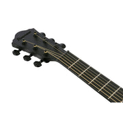 Ibanez AEWC Series Acoustic Electric Guitar, Black Out