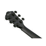 Ibanez AEWC Series Acoustic Electric Guitar, Black Out