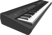 Roland FP-90 Digital Piano (Black)