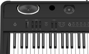 Roland FP-90 Digital Piano (Black)