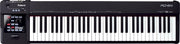 Roland RD-64 Digital Piano (RD64)