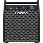 Roland PM-200 V-Drums Personal Monitor